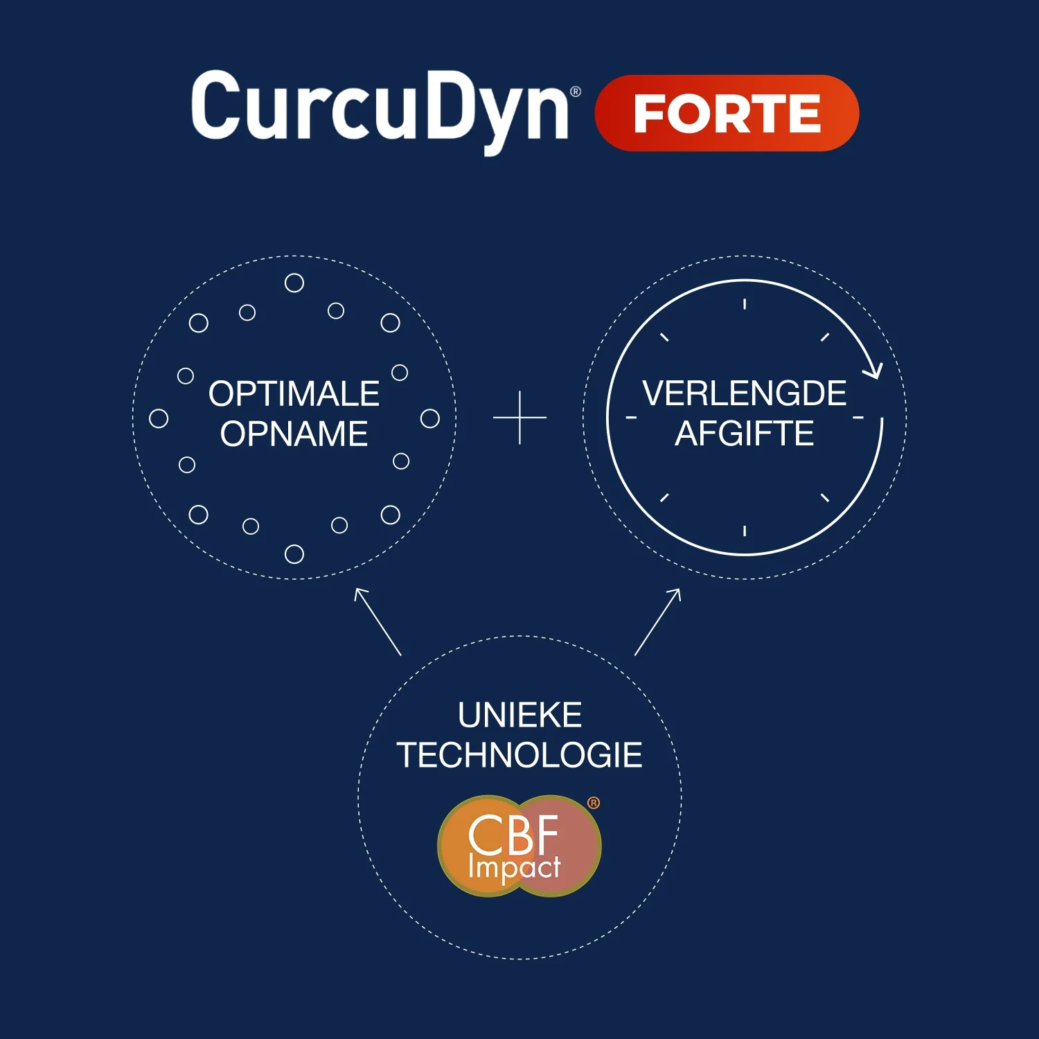 CurcuDyn Forte Capsules - Image 8